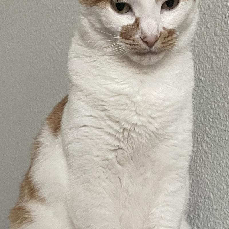 Listing photo 4 of 5