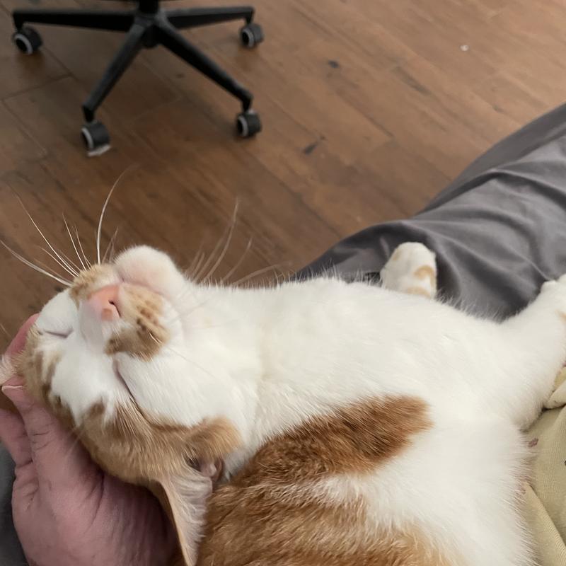 Listing photo 2 of 5