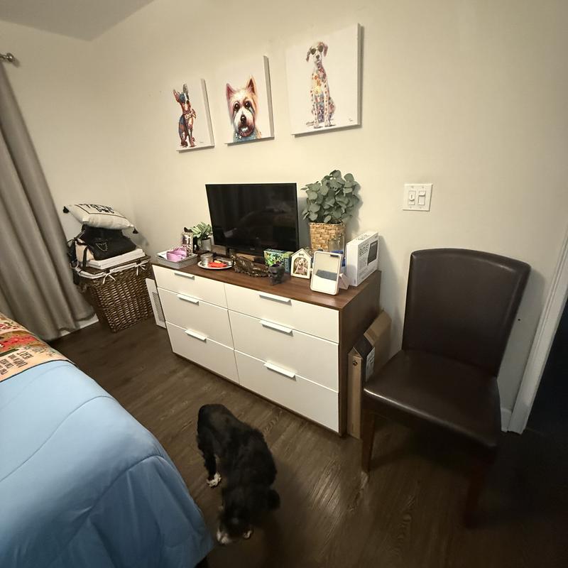 https://images.reputablerooms.com/processed/62995/listing/3eba1b41-58d5-4bd2-96ce-26594acd96ed.jpeg