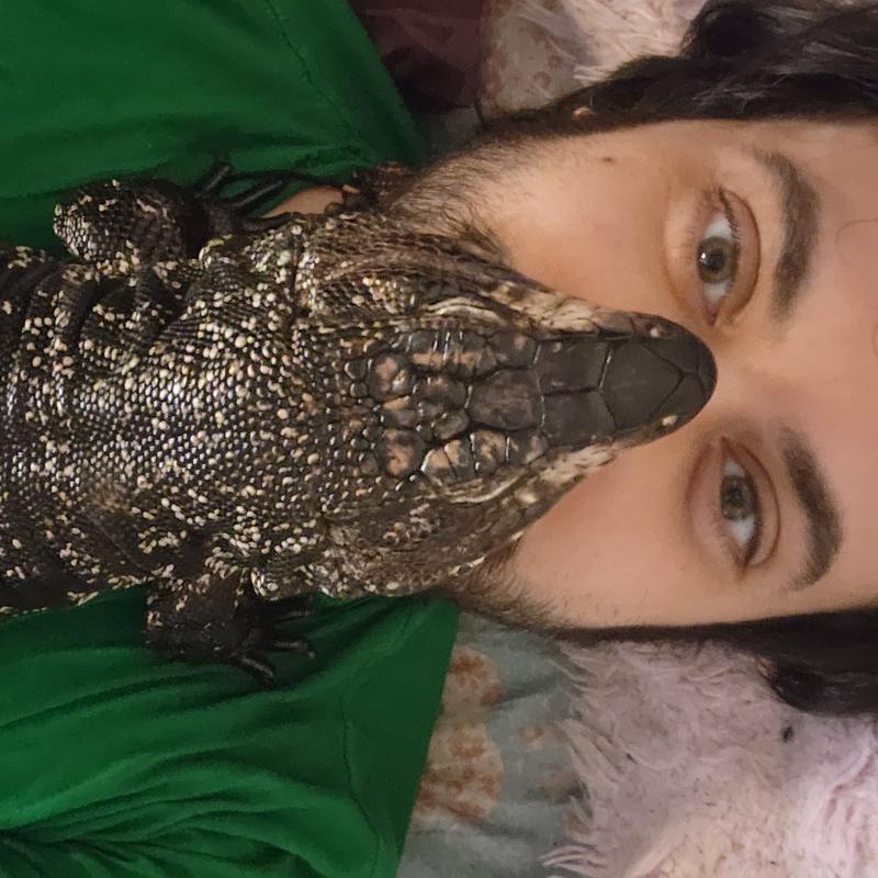 Profile image for Alexander R