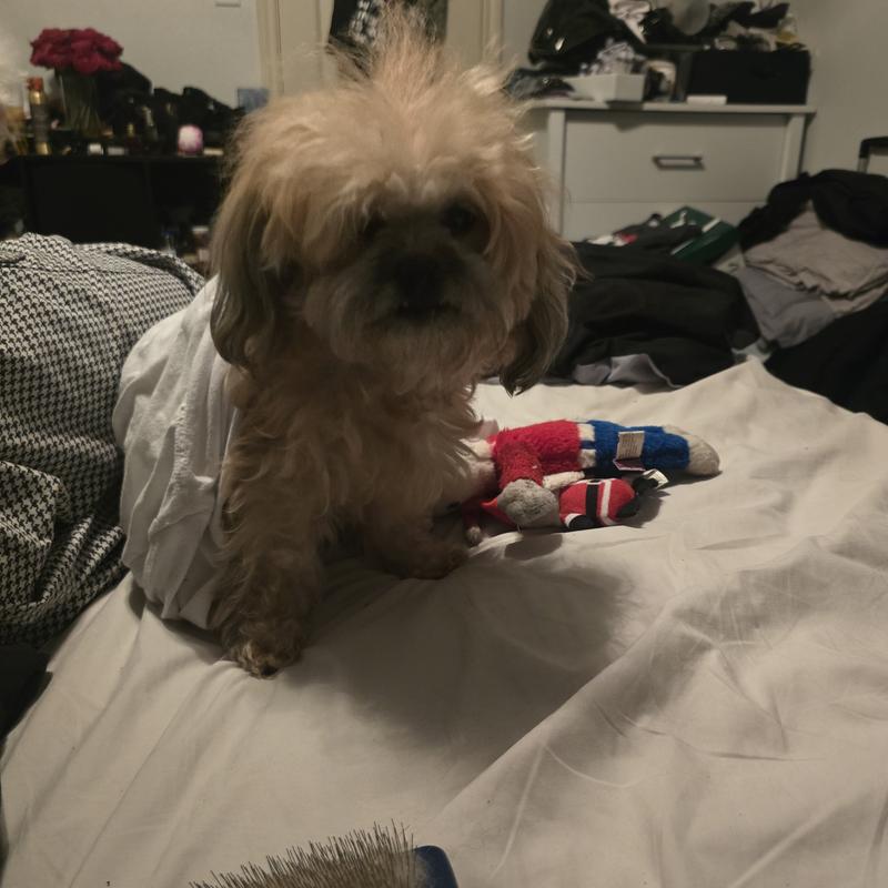 current photo