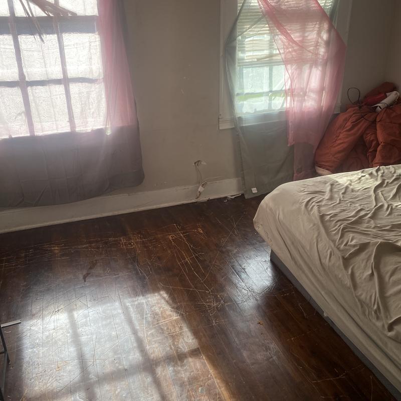Listing image for Fredrica D