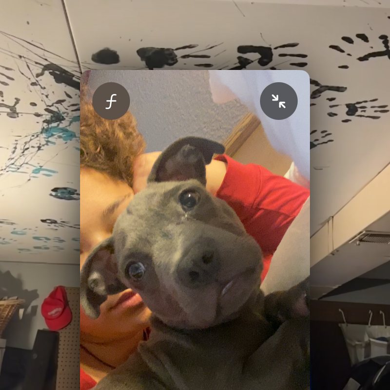 current photo