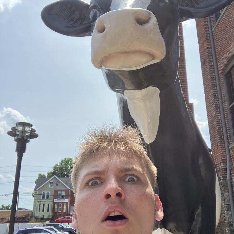 current photo