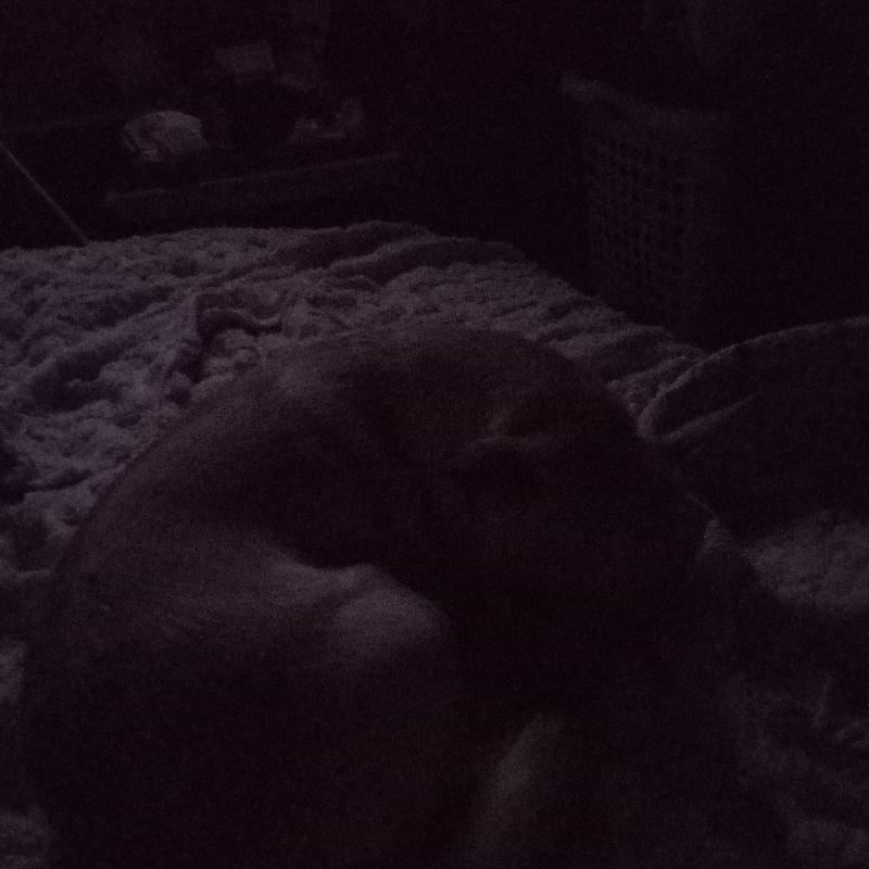 current photo