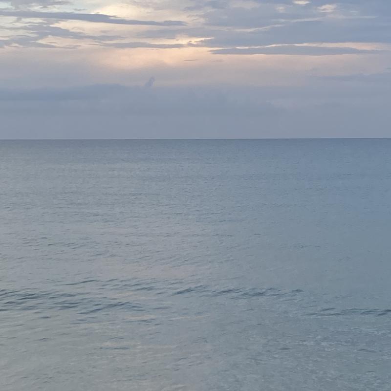 current photo