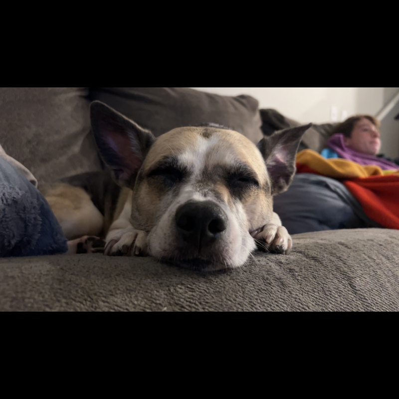 current photo
