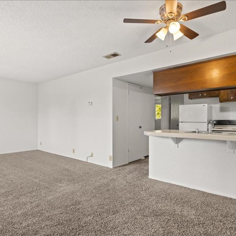 Listing image for Chris P