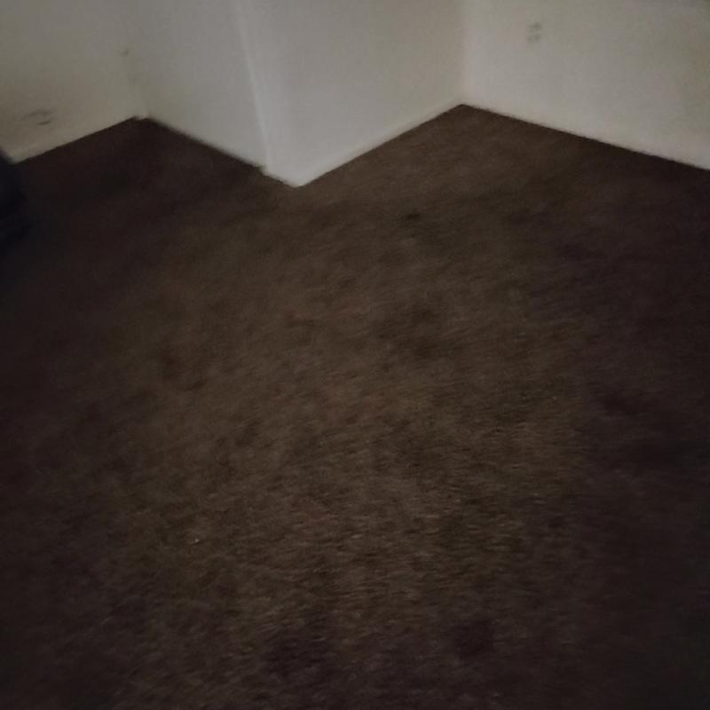 https://images.reputablerooms.com/processed/68489/listing/879fc995-dfe8-4eb8-9d8d-c709653cb8f5.jpeg