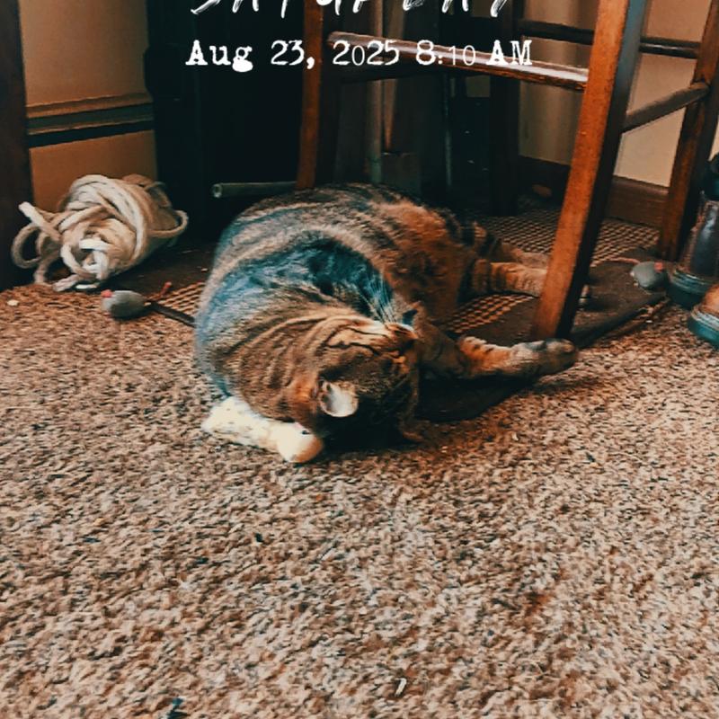 current photo