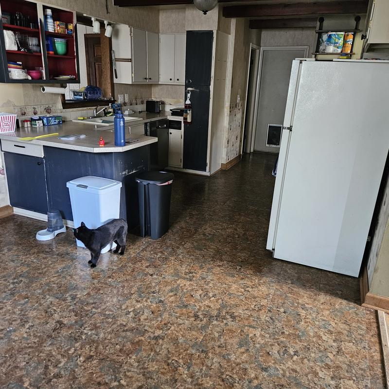 Listing image for Conner E