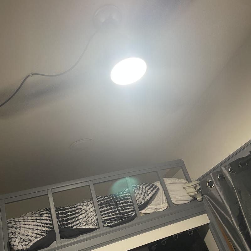 https://images.reputablerooms.com/processed/70348/listing/39d1ebad-d6e1-47f2-8eaf-18970391e738.jpeg