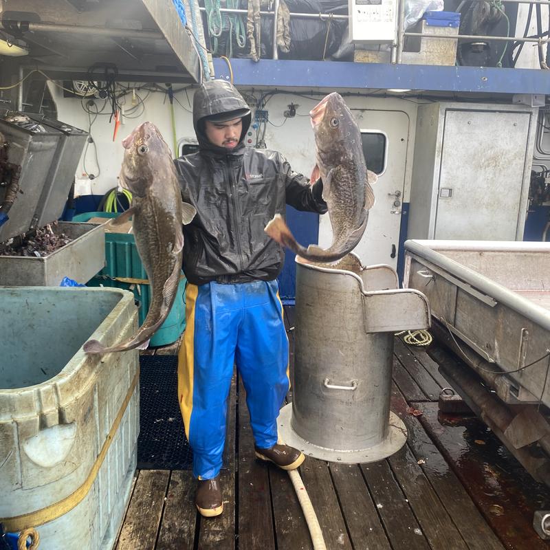 Profile image for Willis W