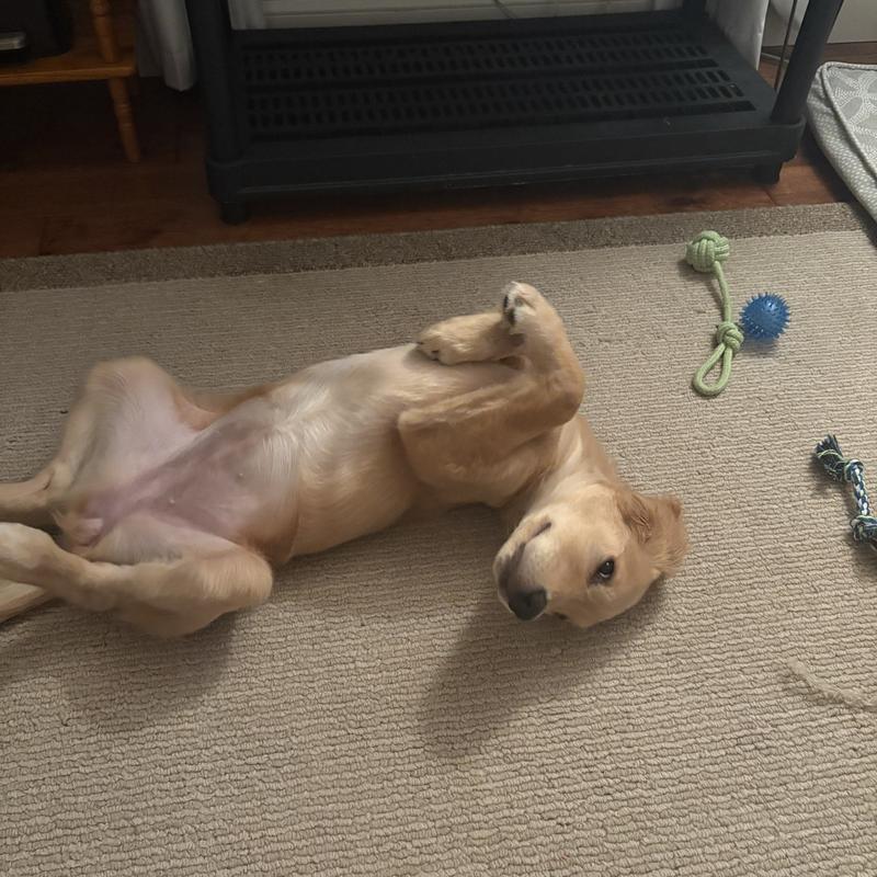 current photo