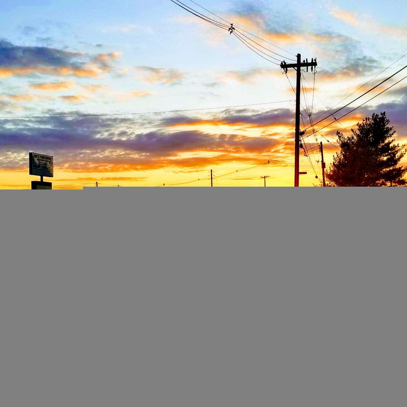 Listing image for Gabriel M