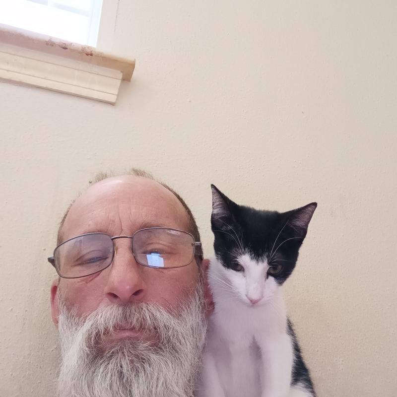 current photo