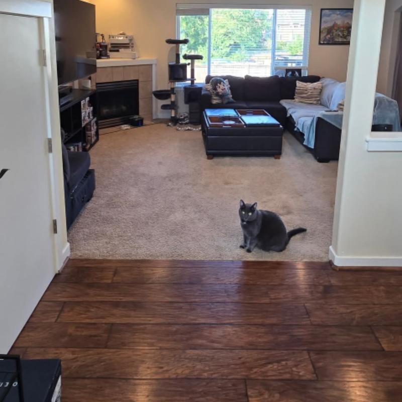 Listing image for Candice P