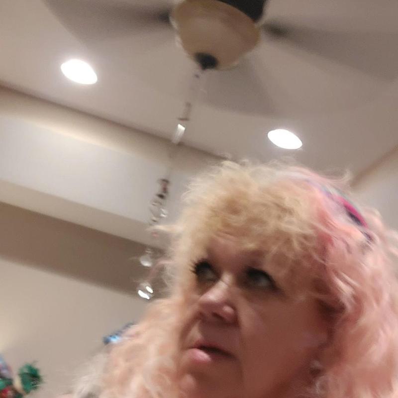 Profile image for Ms.Kelly D