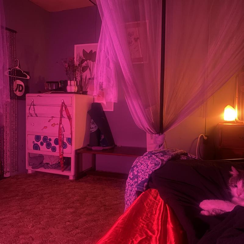 Listing photo 3 of 5