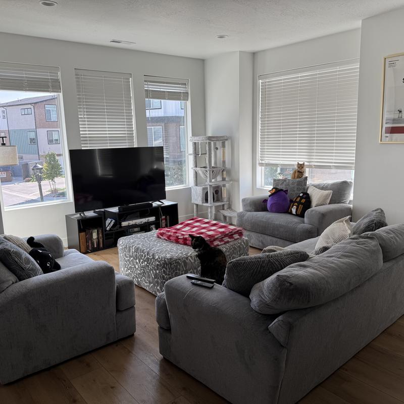 Listing image for Robbie K