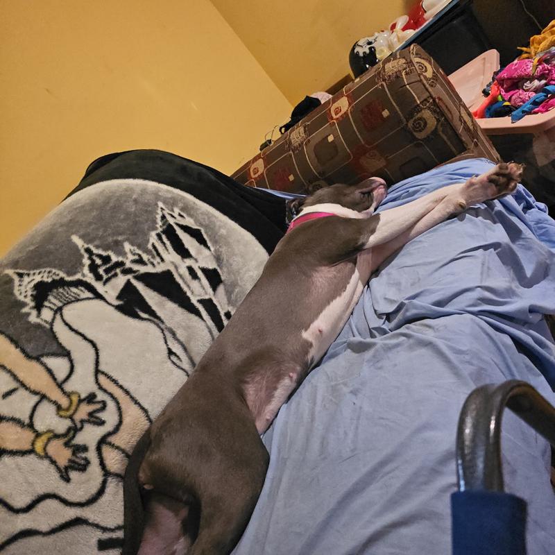 Profile image for Dominic C