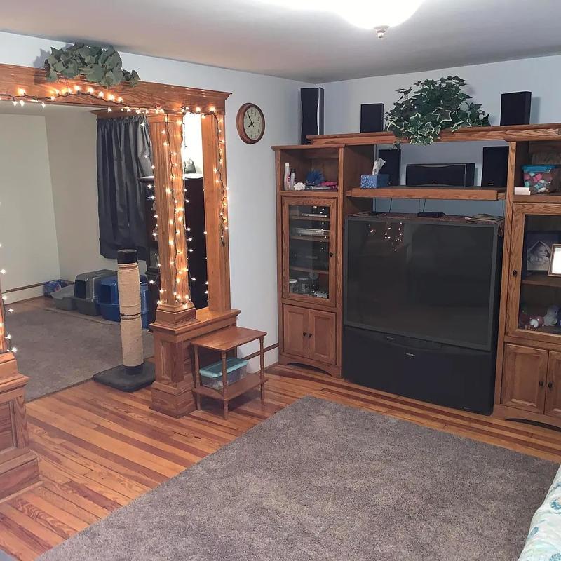 Listing image for Alyssa D