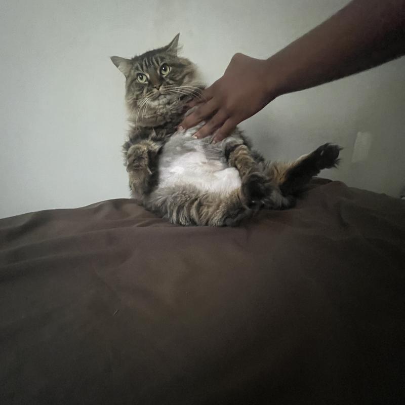 current photo