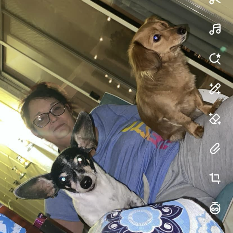 Profile image for Jodi M