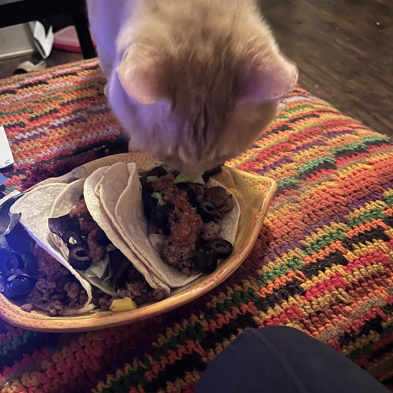 Listing photo 2 of 5