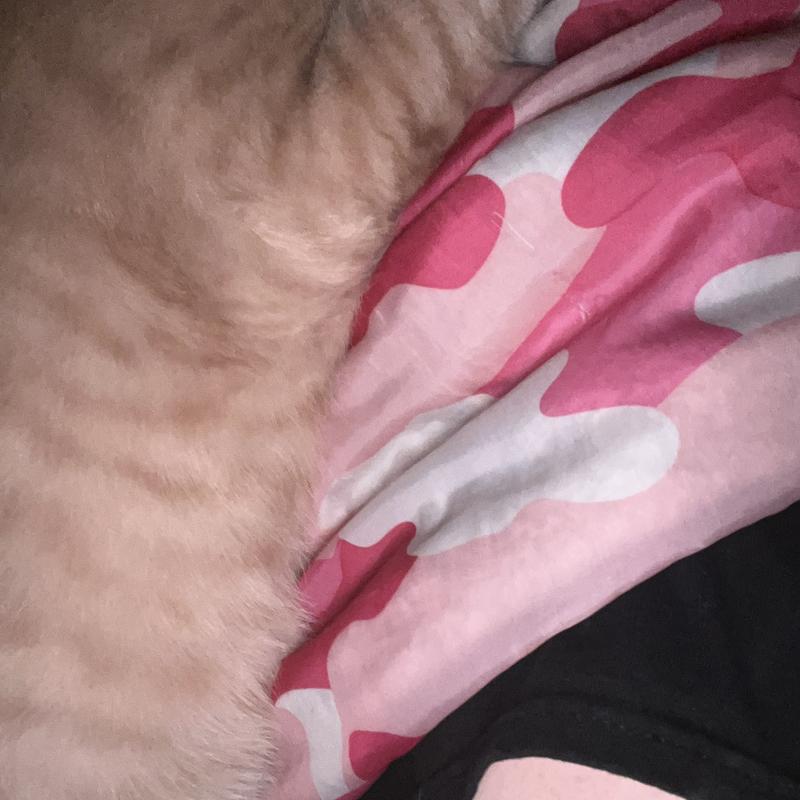 Listing photo 4 of 5