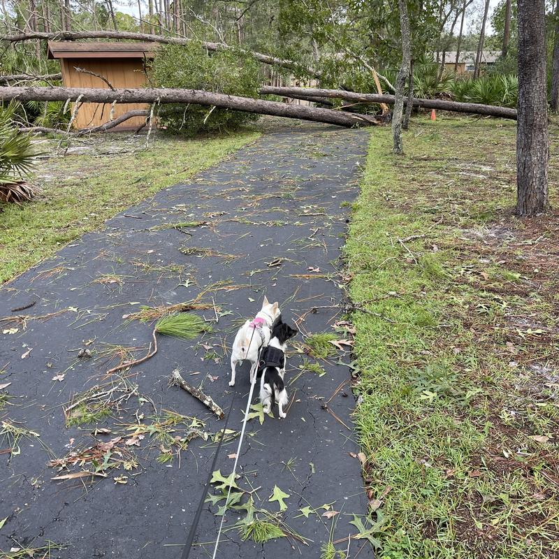 Listing photo 2 of 3