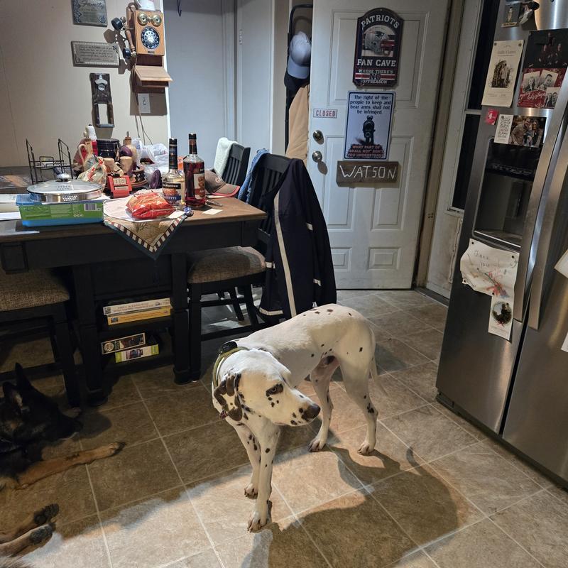 Listing photo 10 of 11