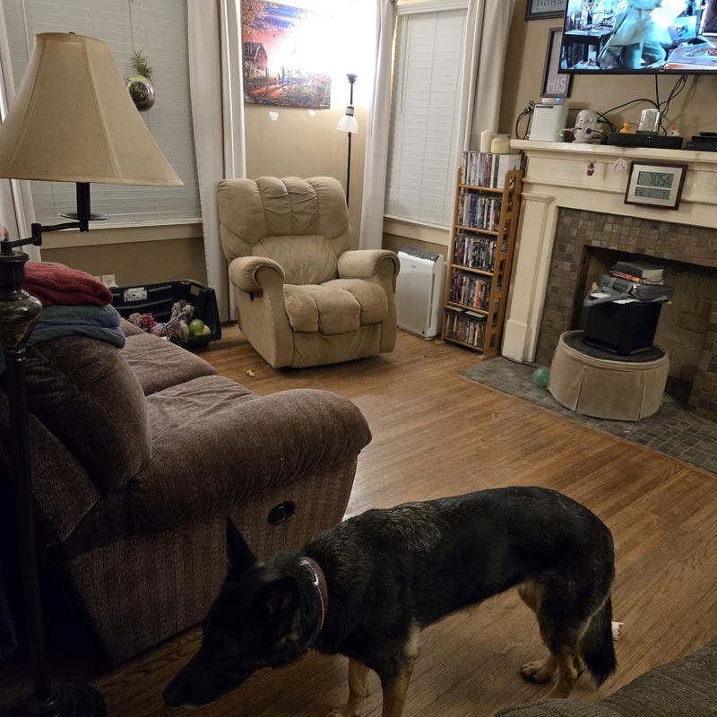 Listing photo 8 of 11