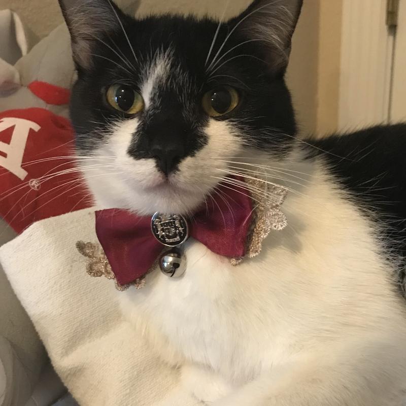 Listing photo 2 of 3