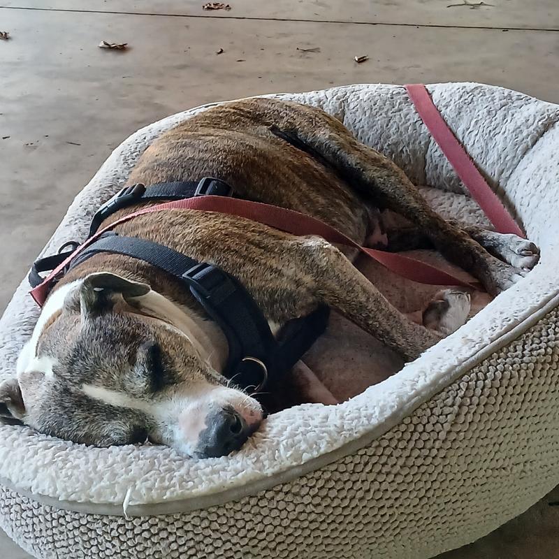 Profile image for Jason M