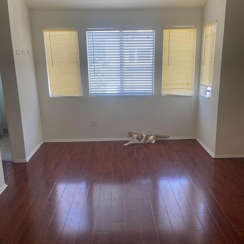 Listing image for Sophie Z