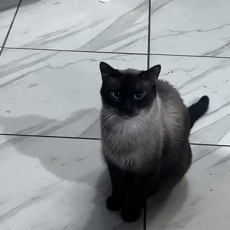 Listing photo 2 of 3