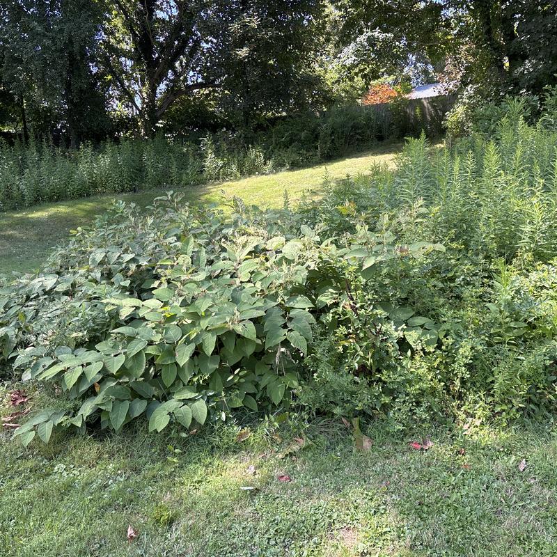 Listing photo 2 of 3