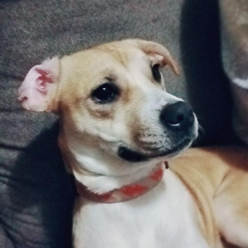 Listing photo 2 of 3