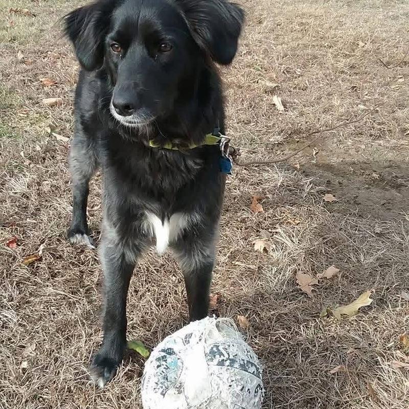 Listing photo 2 of 3