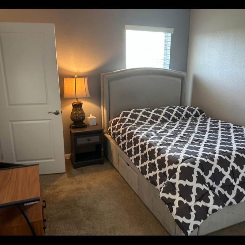 Listing image for Cecilia  P