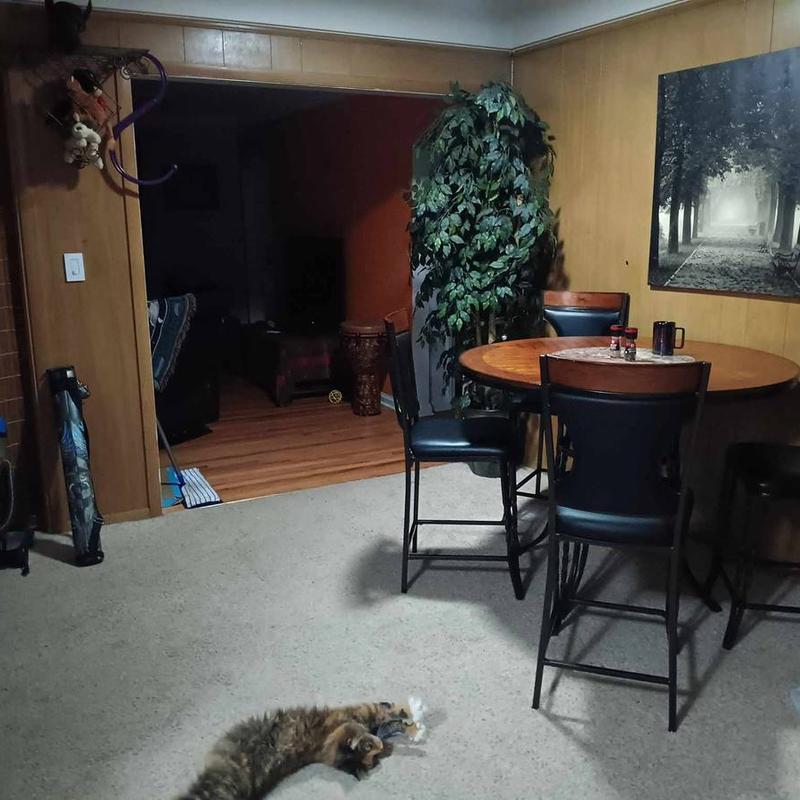 Listing image for THOMAS L