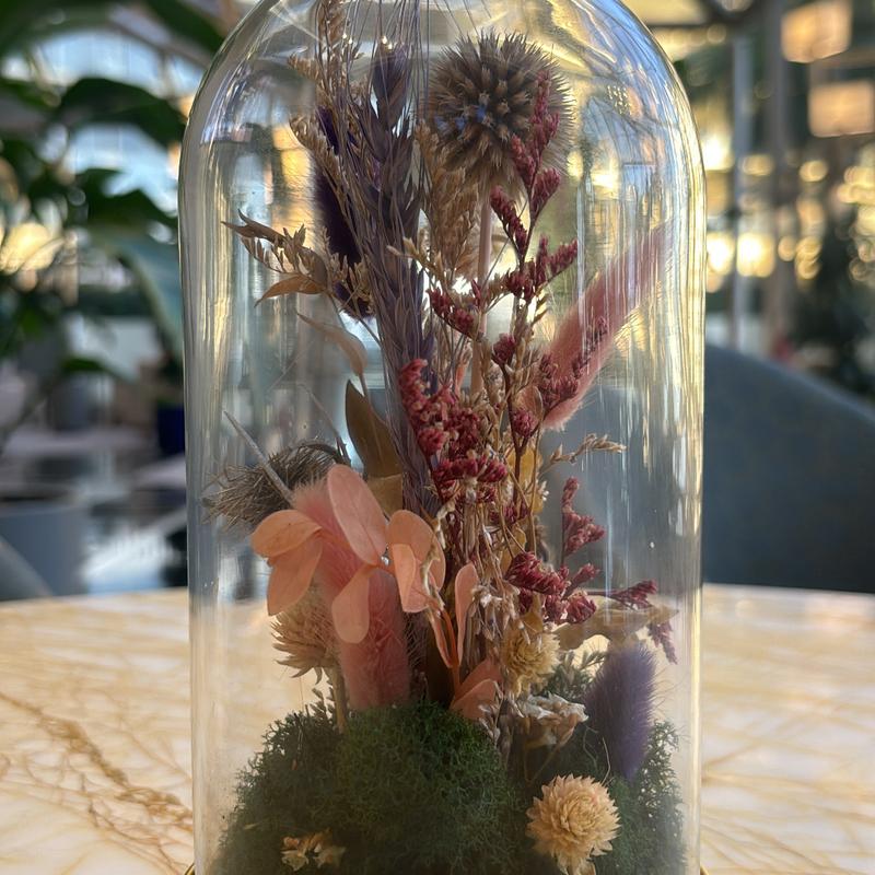 Profile image for Gido  S