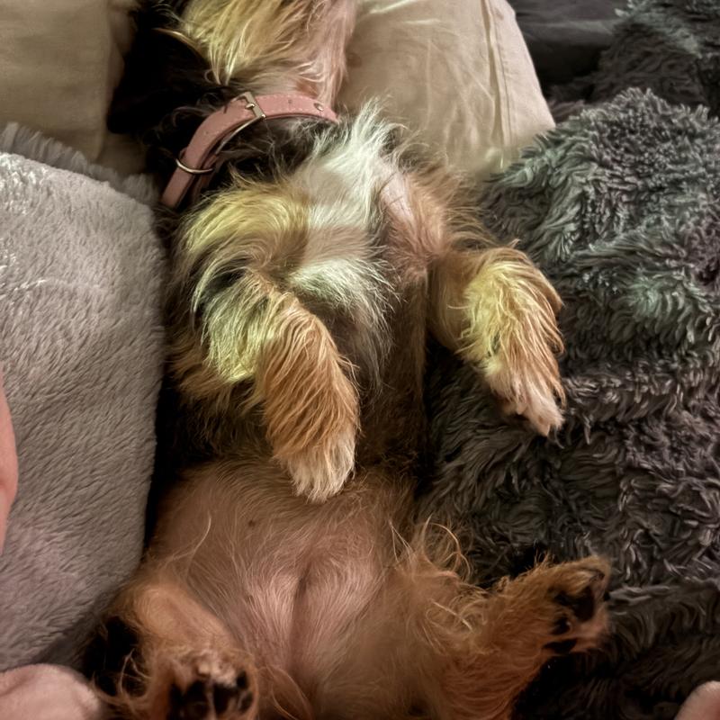 Listing photo 3 of 6