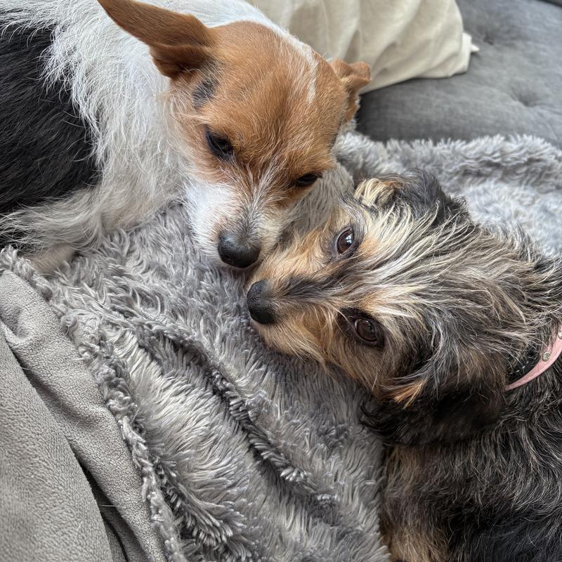 Listing photo 2 of 6