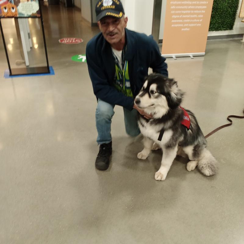 Profile image for Juan Carlos K