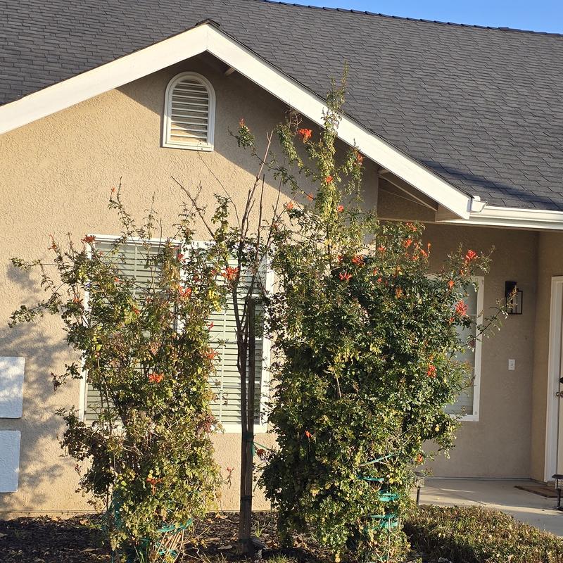 Listing photo 2 of 5