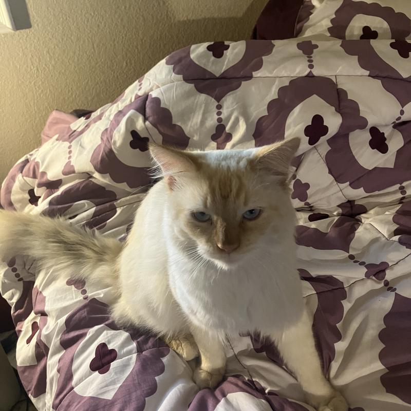 Profile image for Robin S