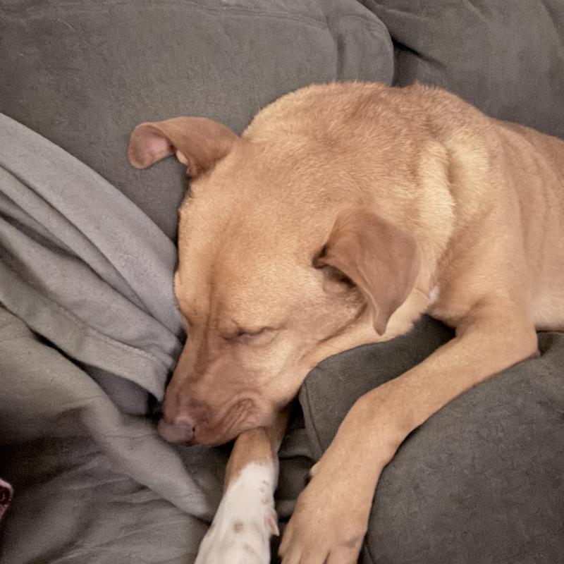 Profile photo of Carla