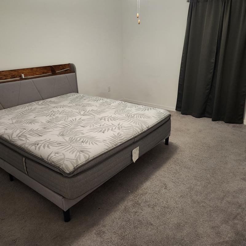 Listing image for Daryl P